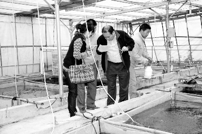 ̨�������:��������ģ���Ľ�����ֳ����