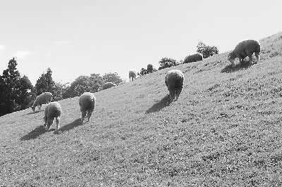 ̨��ӡ��֮�徳ũ����̨�塰������Դ���Ĺ���