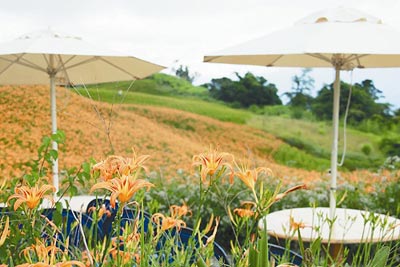 ���̨��̨�廨�����뻨��׳�ۣ�ͼ��