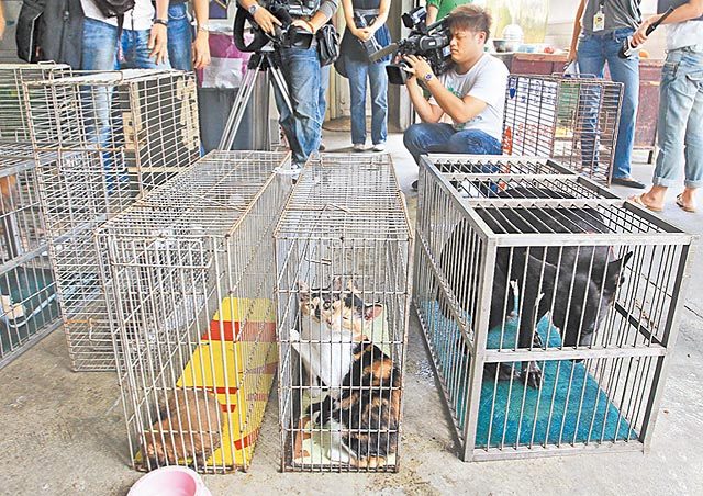 ÿ������7ֻè��̨���ж���֮����ָ�����ᴦ��ͼ��