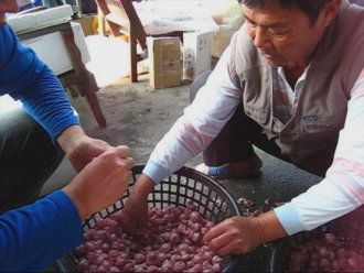 ������Ʒ�����ӿڸл�����ҧ��