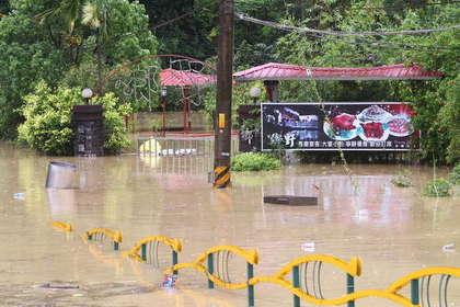 50�������̨���µ���̨��Ӱ����ʯ����Ű