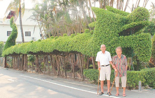 ��ǰ����������ȵ�ż�̨֤���Ϸ���ǣ��70��