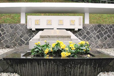 台湾观察:过世50年 胡适在台湾渐被遗忘(图)