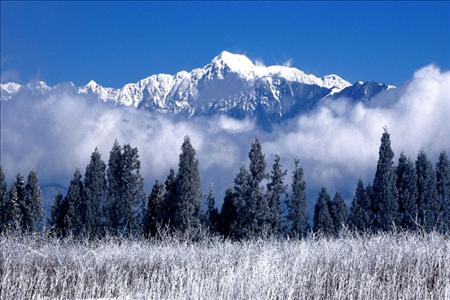 台湾福寿山农场位于合欢山与雪山群峰间,又有"台湾小瑞士"之称.