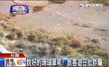 ɺ���ݡ���ɫ�������̨�����մ����ƭ����