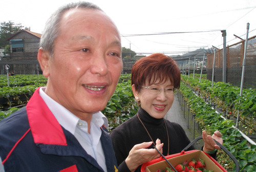 �������ѵ����г�����ɲ�ݮ�Ʒǳ���Ȥ