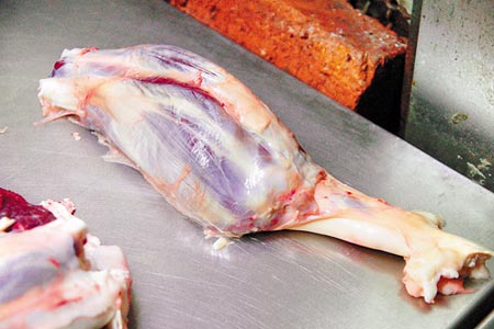 老鼠腱的模样还真像老鼠.