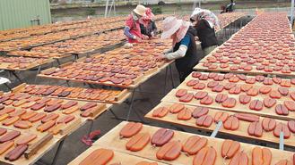 ̨�������Ӵ��˽�����ôѡ����ô�ԣ�ͼ��