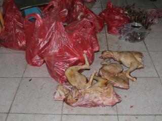 台湾云林查获大型屠狗场 规模近年罕见(图)