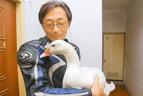 ʧ���񡰰������̨��һ�����Ӷ�Ϊ��������