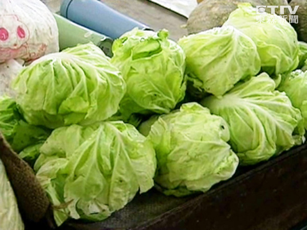 春天要养肺台医师:多吃白色食物卷心菜