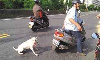 �����Ϲ����Ľ���Ѫ̨���ӱ�·�˾ٱ���ͼ��