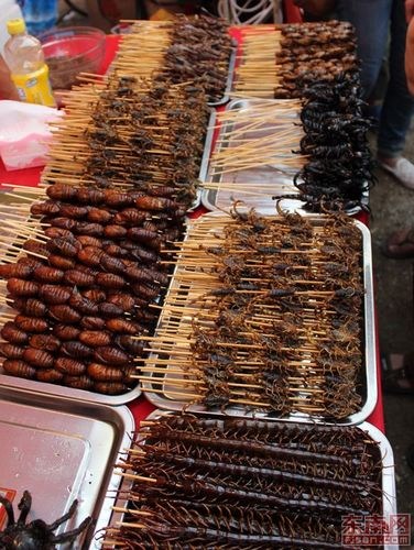 600��������ʳ������̨�����ݣ���ɫ���ᣨ3��