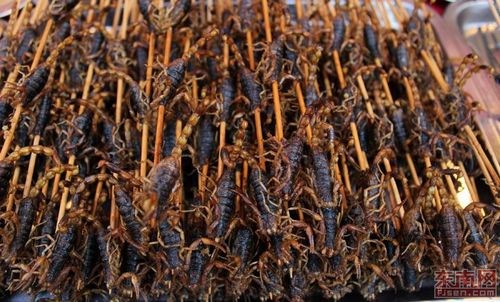 600��������ʳ������̨�����ݣ���ɫ���ᣨ4��