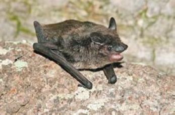 ���ҷ���������̨����������һ����ͼ��