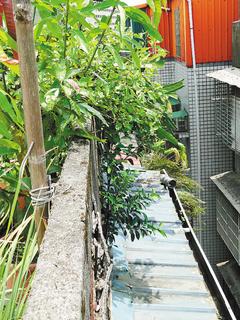 ̨���ֺ���ˮ��̨��һ��������¥׹����ͼ��