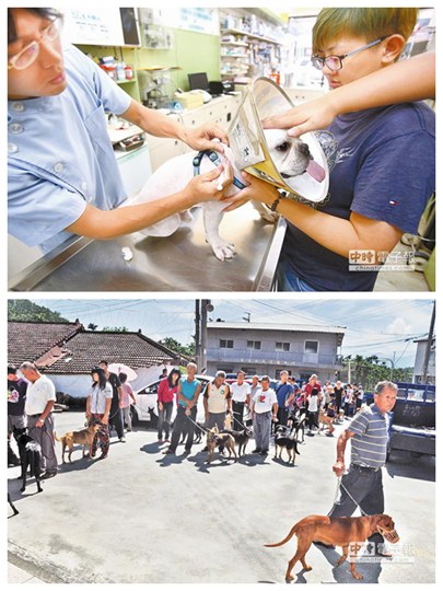 点图查看下一页