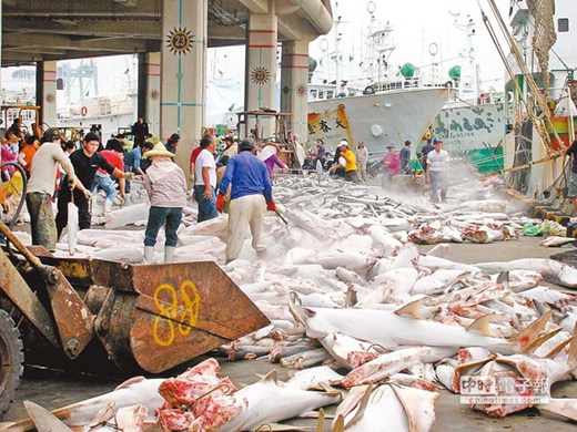 ȫ��ǰ20������һ����̨��������еڣ�