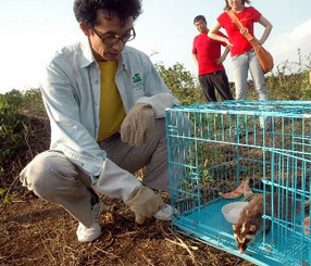 ̨�岡��֮���Ƶ����Ȯ����Ⱦ��ģ�ǵ���֮��