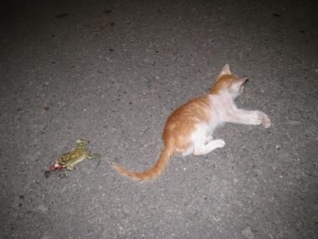 ·��è������һϢ����ʳ����ж��ǿ�Ȯ��