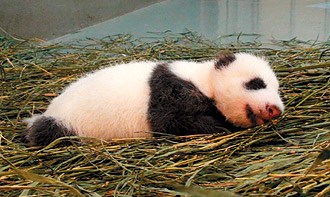 点图查看下一页