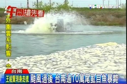 点图查看下一页