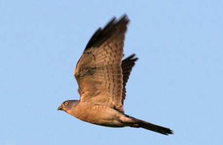 ̨��Ѷ����ݼ���ʼ�����ูӥȺ���֣�ͼ��