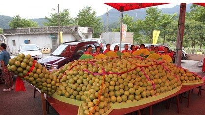 ̨�������ضѡ����ֹꡱ6000�������������