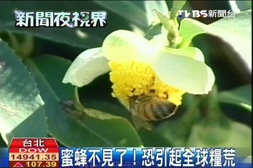 ̨ý���۷��������һЩ�߹����ܻ��Ǽ�