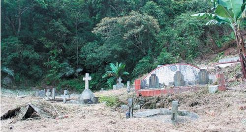 ̩�������ӹ����ֵ���ĸ���������̨˾��ʷ����