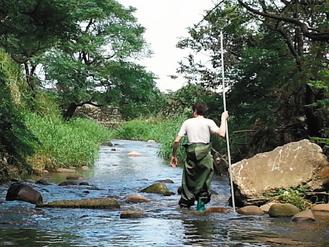 �������������Լ�ᱻ���г����롱��ͼ��