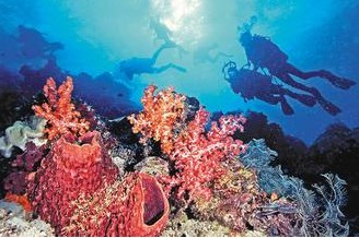 ������̨���ش��Ѷ�ɺ������ը��һ������ͼ��