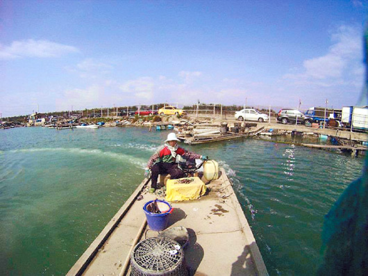 ̨��߲����ѧ�����С����С����±��ĳɵ�Ӱ