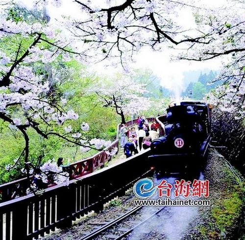 ��½�οͿ�ζ�ı䡰���塱����̶����ɽ