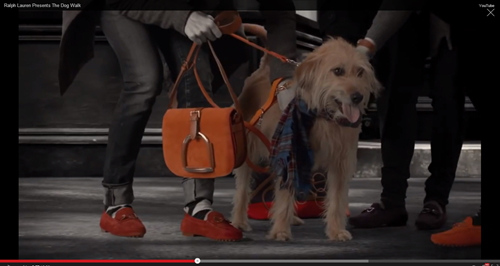 ���˹�������ģ����RalphLauren���¹��