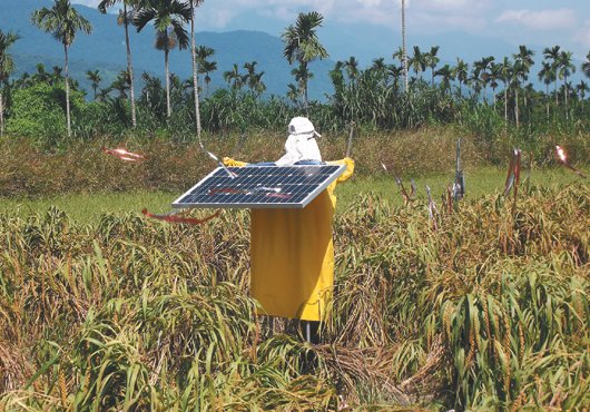 �����˱�Ϸ�ơ�����䡱ȫ�������������