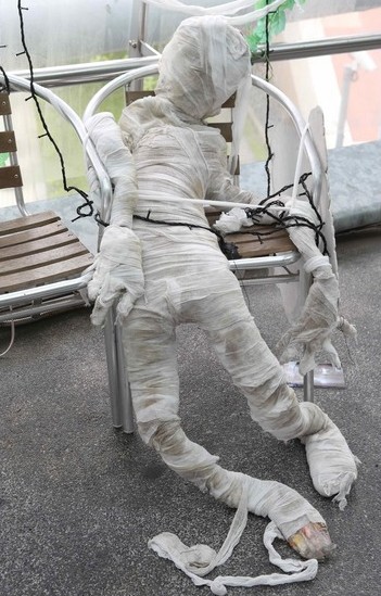 ̨���±���ӭ��ʥ�������š��Ź����ˡ�