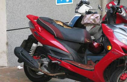 �������ھӼ���̨�������ݻ�����Ħ�г�����