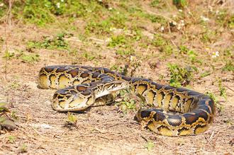 ����������״α�֤ʵ�ǡ������֡���ͼ��