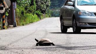 �ڹꡰ���֡������Ż����Ĵ�������ͼ��