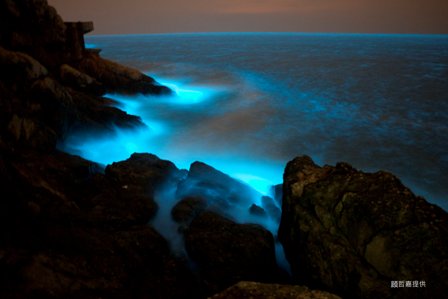 ̨�û᣺����������ÿ�˿ɻ�2000Ԫ��̨�Ҳ���