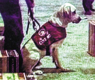 ̨�嶾��Ĩ�ɿ�����������Ȯ���ڡ�Ϳ���ˡ�