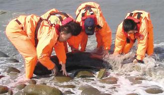 ̨���û����߸�ǳ�����˿ڹ������Ȳ��Σ�ͼ��