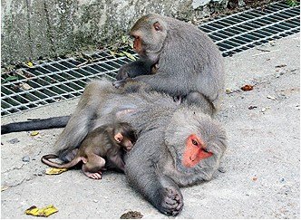 �����������Ų���̨���ɽ⨺�����ο͸���