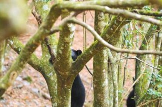 ̨�����ĸ�������о�Ա��̨�������Ļ�����