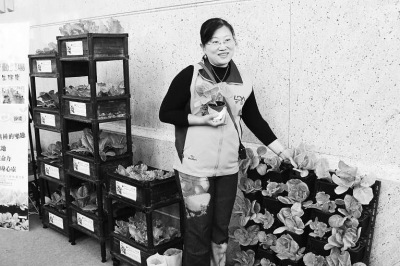 ̨�塰����ũ�򡱣��Ը������ѹ�޶���ͼ��