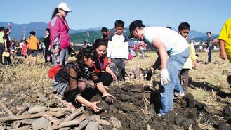 ̨����ס������pҤ��Ȥ������Ū�������