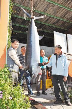 ̨����������260��������5���󺺰��ˣ�ͼ��