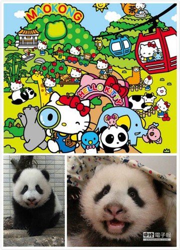 ̨��Yahoo��ȡ������ѡ��̨��è�����ŵڶ�